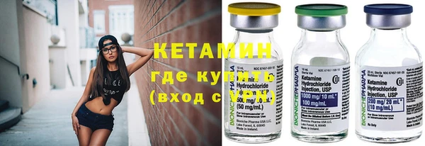 индика Гусь-Хрустальный