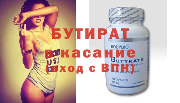 индика Гусь-Хрустальный