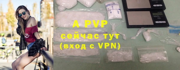 ALPHA PVP Гусев