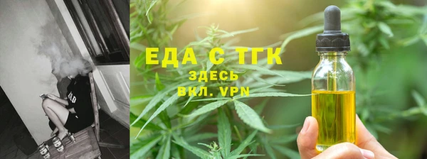 индика Гусь-Хрустальный
