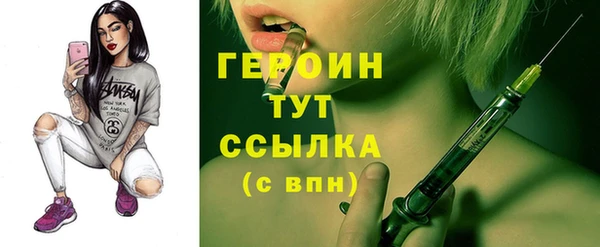 индика Гусь-Хрустальный