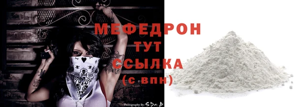 индика Гусь-Хрустальный