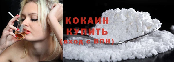 индика Гусь-Хрустальный