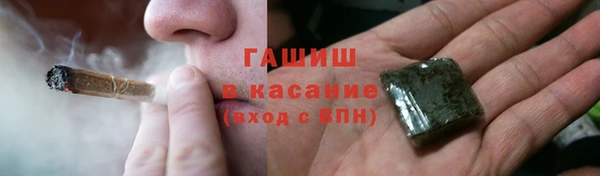 индика Гусь-Хрустальный