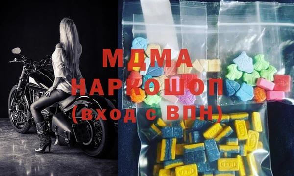 индика Гусь-Хрустальный