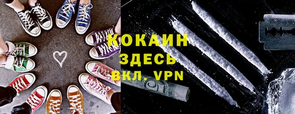 индика Гусь-Хрустальный