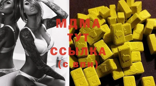 индика Гусь-Хрустальный