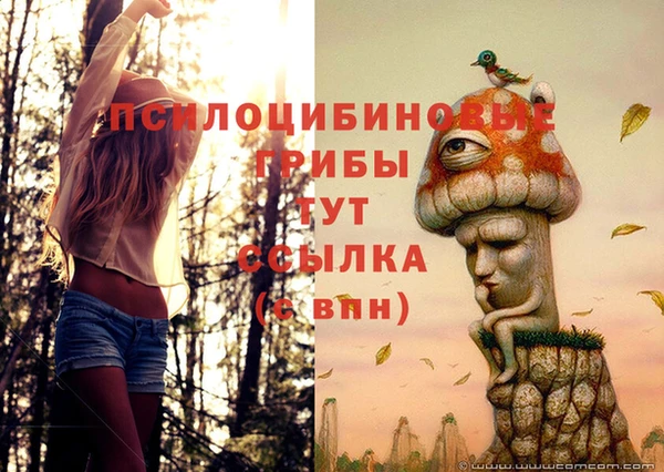 дистиллят марихуана Гусиноозёрск