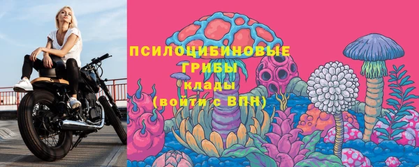 тгк Чекалин