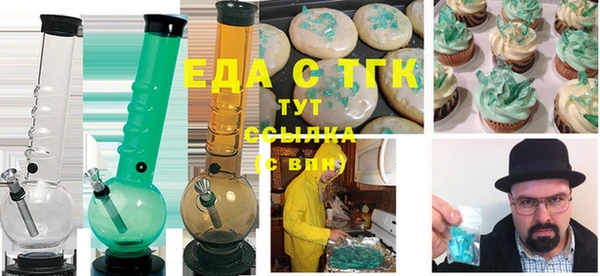 индика Гусь-Хрустальный