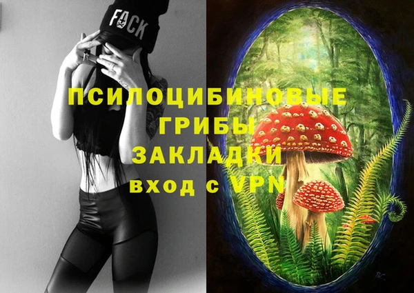 индика Гусь-Хрустальный