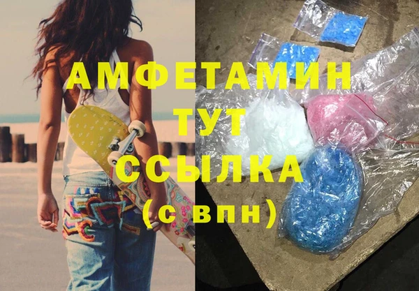 индика Гусь-Хрустальный
